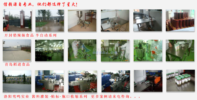 大顆粒醬料灌裝機,豆豉醬灌裝機