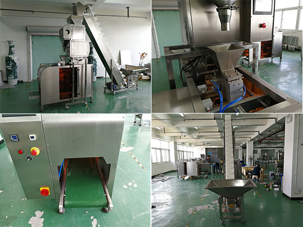 大型自動(dòng)食品包裝機(jī)設(shè)備實(shí)拍圖