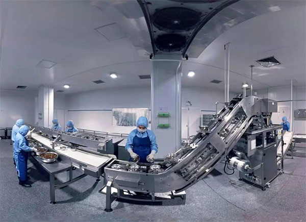 全自動速凍水餃包裝機設(shè)備操作實拍圖