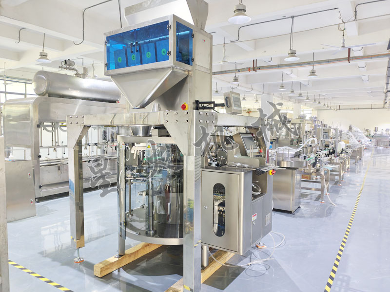 成都自動包裝機(jī)-給袋式顆粒包裝機(jī)實(shí)拍圖