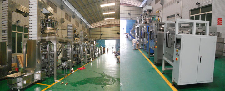 220D組合稱量自動(dòng)食品包裝機(jī)